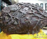 一方90公斤重的奇石有人開(kāi)價(jià)12萬(wàn)元