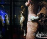 深夜?jié)撊氪蠖紩?觀野性之美”展覽