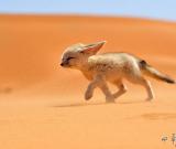 《國(guó)家地理旅行者》影賽優(yōu)秀作品