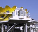 世博荷蘭館“歡樂街”設(shè)計(jì)者獲荷蘭設(shè)計(jì)大獎(jiǎng)