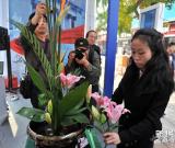 北京：“技能精英”展示絕活