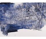 諸子·2013-王成作品展