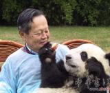 楊振寧：跟海歸熊貓對話，是否也需雙語？