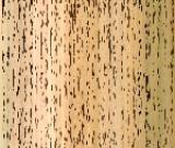 祝允明　手卷曹植詩(shī)四首