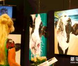 荷蘭藝術(shù)展開幕 圖