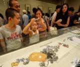 “得于外象”張暉中國畫作品展在沈陽開幕 圖