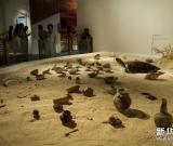 南海古沉船文物在首博展出 圖