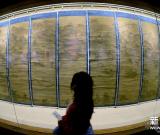 西湖博物館推出歷代杭州名仕書畫展 圖