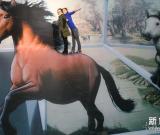 江蘇南通舉行3D駿馬主題畫展 圖