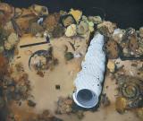 “無(wú)界”中國(guó)當(dāng)代青年藝術(shù)家作品展