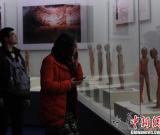 重慶展出漢陽(yáng)陵文物 展現(xiàn)“文景之治”盛景