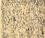 祝允明　李白蜀道難、懷仙歌