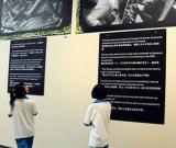 空降東方拯救盟軍戰(zhàn)俘65周年圖片展海南開展