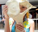 香港展示超10米長鯨魚頭骨呼吁保護海洋