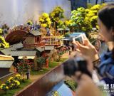 青島：菊花“繪”就清明上河圖 組圖