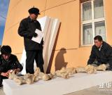 甘肅和政古動物化石將首次赴臺灣展出 圖