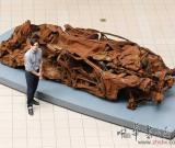 藝術(shù)家展出恐怖襲擊后的汽車 圖