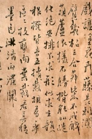 徐渭　花卉圖卷題詩