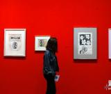 斯特蒂文特：復(fù)制的藝術(shù) 圖