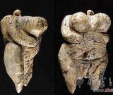 德國(guó)發(fā)現(xiàn)3.5萬(wàn)年前用象牙雕刻的裸體女人像