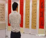 宋國(guó)華環(huán)保篇書法作品展開展