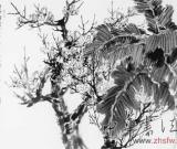 玉蘭（中國(guó)畫(huà)）