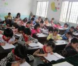 嵊州市二年級(jí)學(xué)生參加規(guī)范漢字硬筆書法比賽