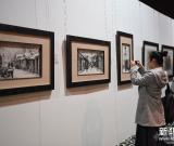 巧手繪成瓷板畫