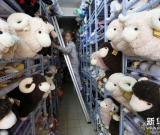 大連“萌羊”玩具生產(chǎn)忙