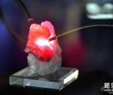 緬甸“抹谷之王”紅寶石秀長沙 組圖