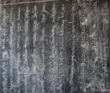 內(nèi)蒙古發(fā)現(xiàn)成吉思汗時(shí)代使用的蒙古文巖文