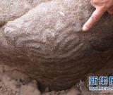 罕見史前“豬首龍”型石刻巖畫首次被發(fā)現(xiàn)