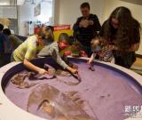 博物館里的“家庭日” 圖