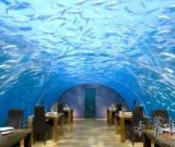 海底藝術(shù)餐一頓500萬美元(圖)