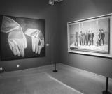 中國美術(shù)學(xué)院成立85周年 85新潮藝術(shù)家作品亮相