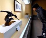 俄羅斯藝術(shù)家達(dá)西作品展在鄭州舉行