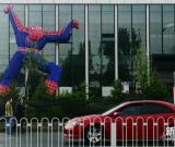 巨型“蜘蛛俠”亮相沈陽 組圖