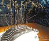 私人美術(shù)館頻建：中國(guó)收藏家自己說(shuō)了算