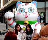 濟南：“招財貓”迎圣誕