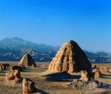 夏漢合璧西夏藝術(shù)館落戶(hù)寧夏